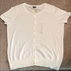 Ann Taylor White Sweater